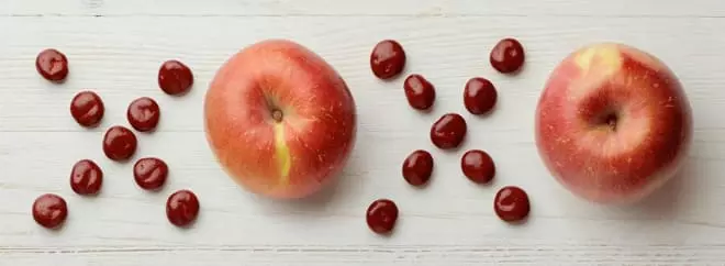 The Fruit Company